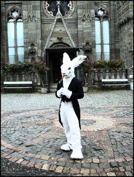 S2 Episode 9 - Divinity, Ears, and Tails: Being a Furry in a Heavily Religious Culture