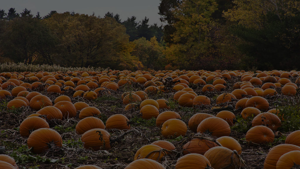 S9 Episode 2 - Halloween 2020